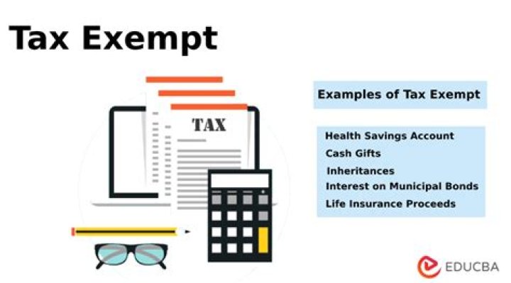 Are international companies tax exempt?