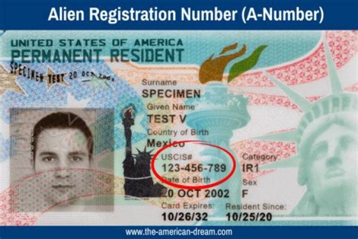 Are o1 visa holders resident aliens?