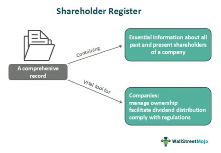 Are shareholders entitled to company information?
