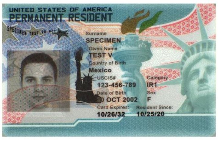 Can a non-resident of the United States own an LLC?