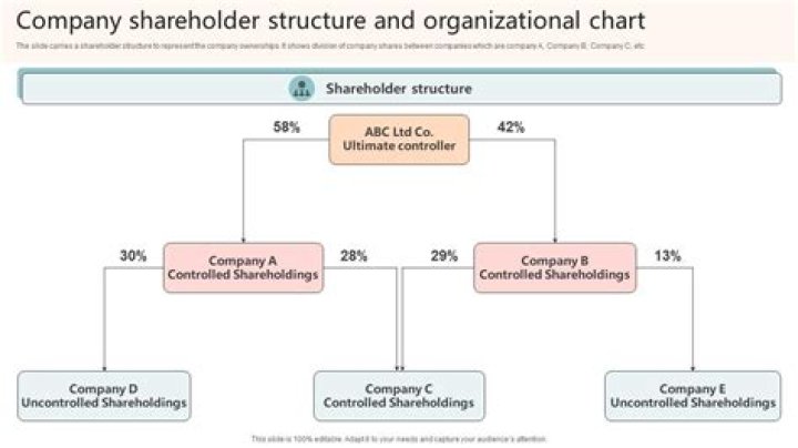 Can you be a sole shareholder?