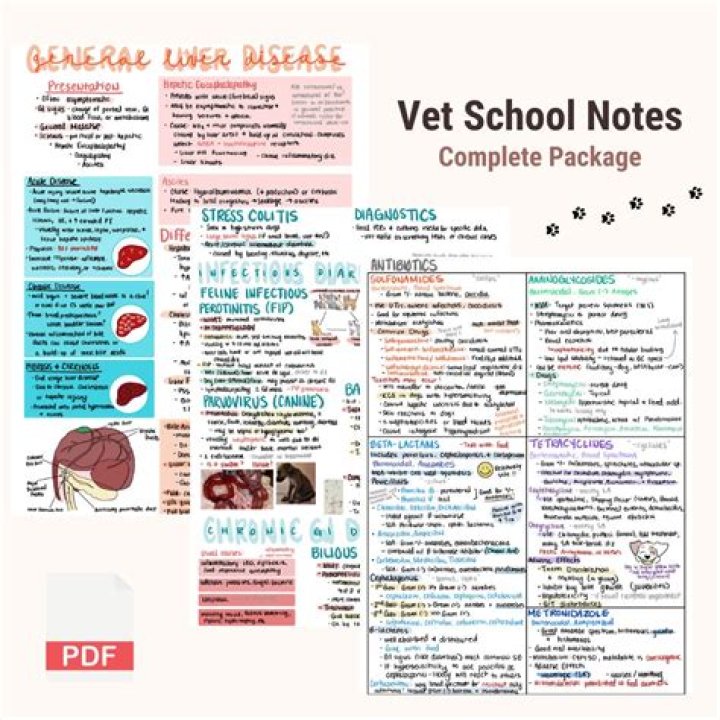 Can you be a vet without a degree?