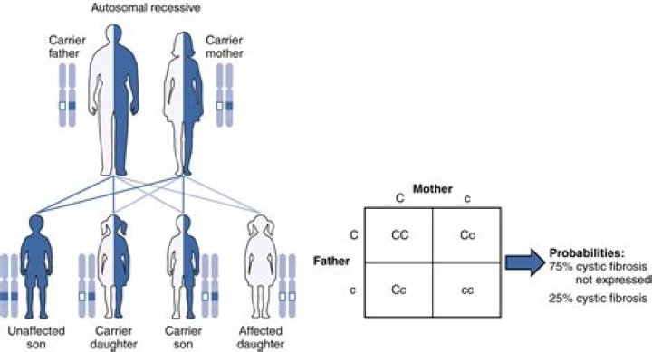 Can you get inheritance from another country?