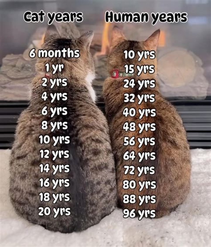 Can you live 10 years with COPD?