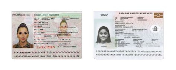 Can your passport be revoked for not paying taxes?