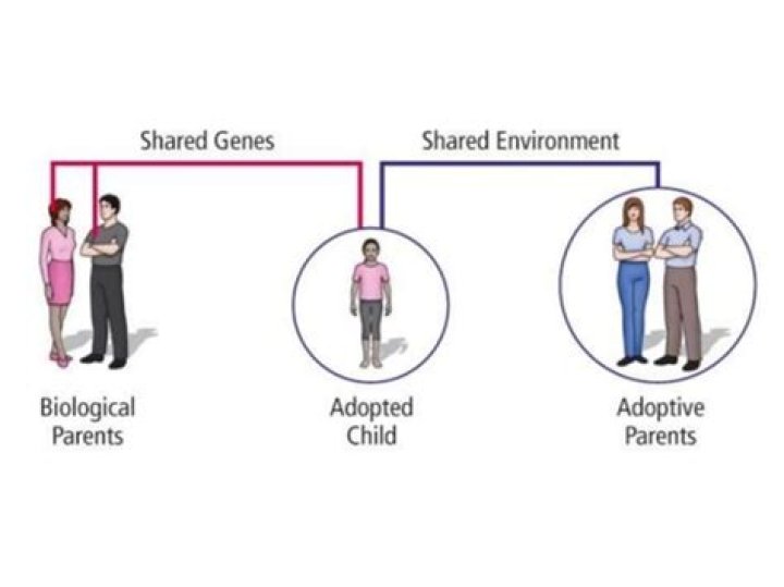 Do adopted kids have behavioral issues?
