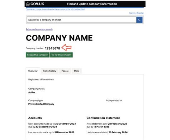 Do I have to put my company registration number on my website?