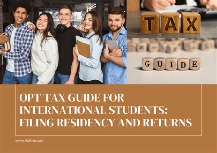 Do international students get tax returns?