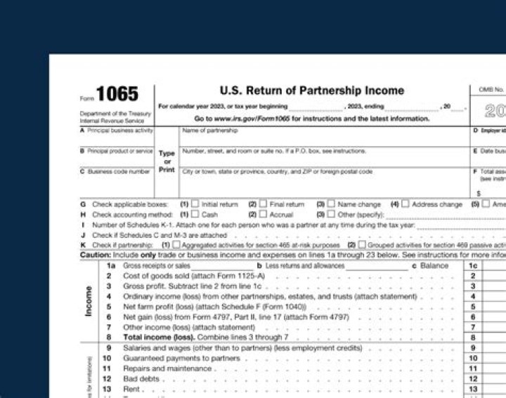 Does an LLP file a 1065?