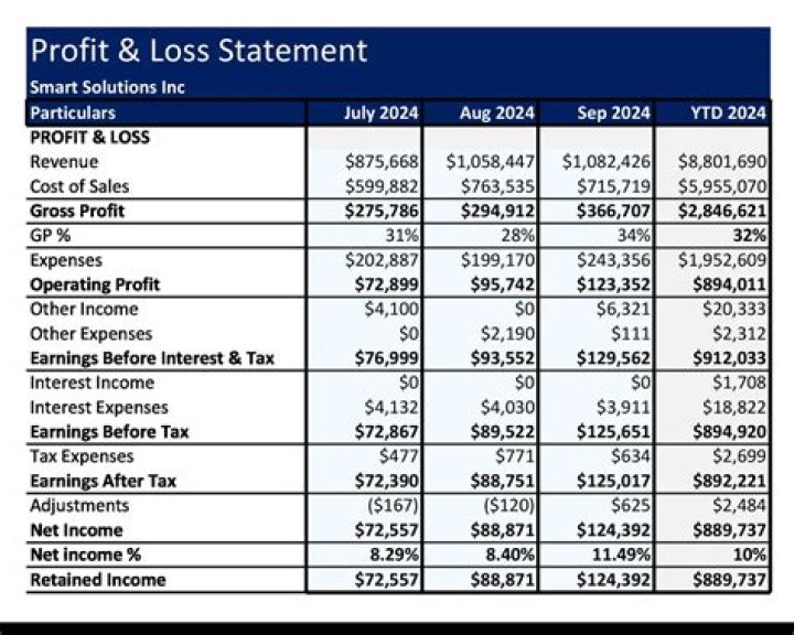 Does TurboTax do profit and loss statements?
