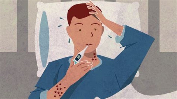 Had contacted or had contacted?