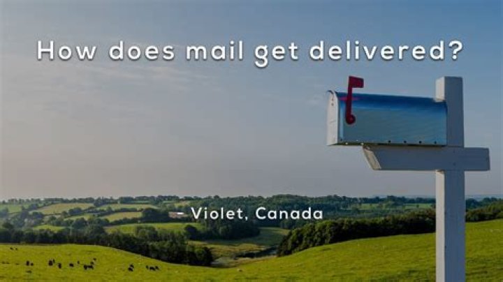 How are newspapers delivered?
