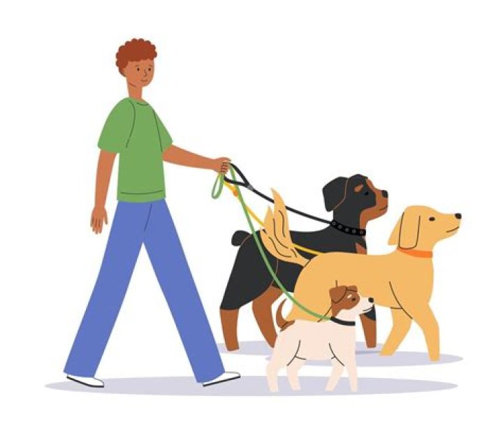 How can I promote myself as a dog walker?