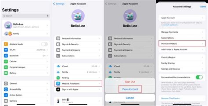 How do I check my unpaid balance on my Iphone?