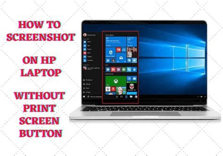 How do I contact the CEO of HP?