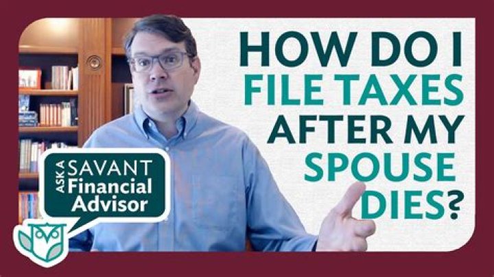 How do I file taxes as a single owner LLC?