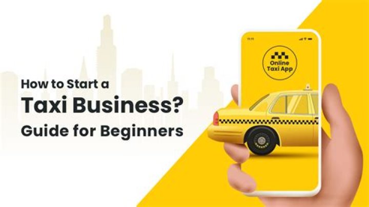 How do I start a taxi service in Georgia?