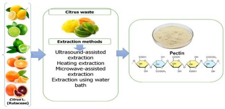 How do you increase citrus fruit production?
