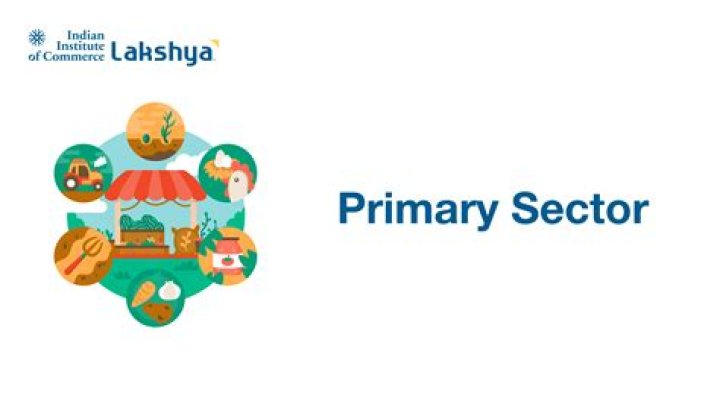 Is BP a primary sector?