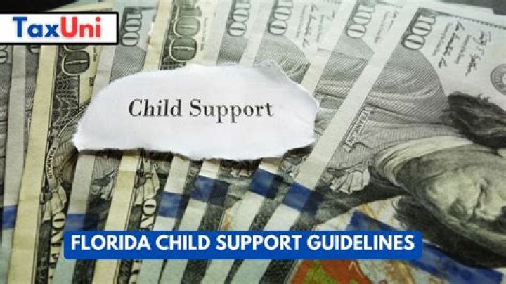 Is Florida child support taking stimulus checks?