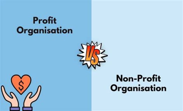 Is it necessary for non profit organization to use accounting?
