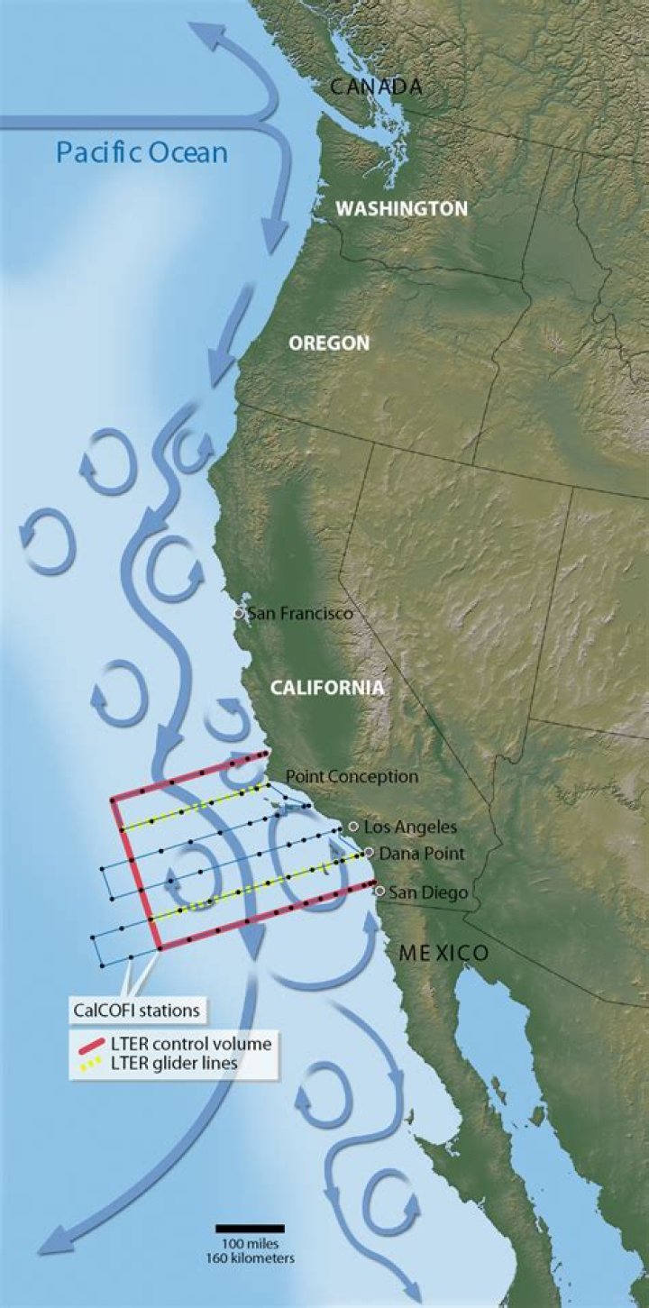 Is the California Current a cold or warm current?