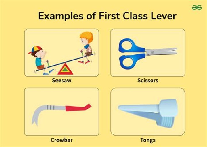What are 5 levers examples?