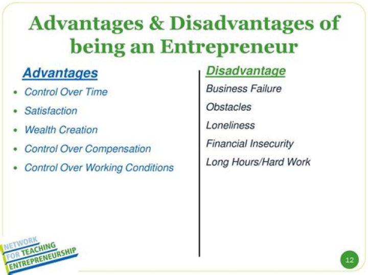 What are advantages and disadvantages of entrepreneurship?