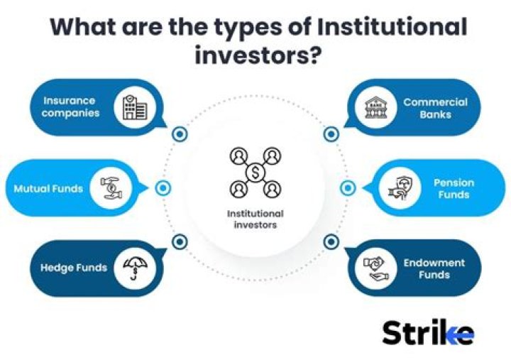 What are examples of institutional investors?