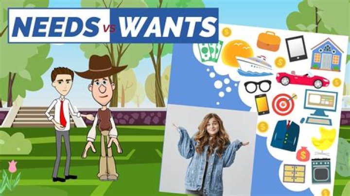 What are needs and wants in budget?