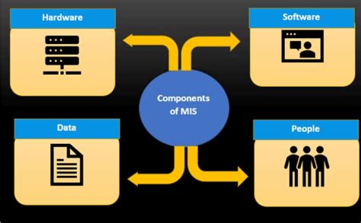What are the 4 components of MIS?