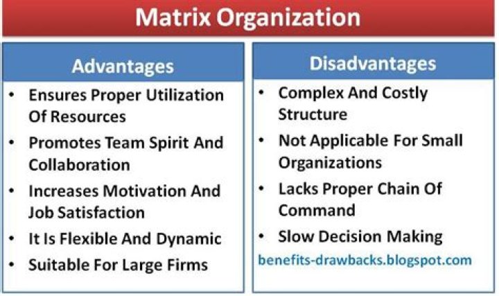 What are the advantages and disadvantages of structuring an organization by product and function?