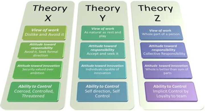 What are the characteristics of Theory Z organization?