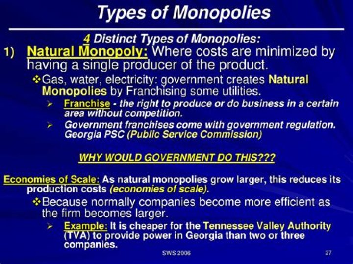 What are the four types of government monopolies?