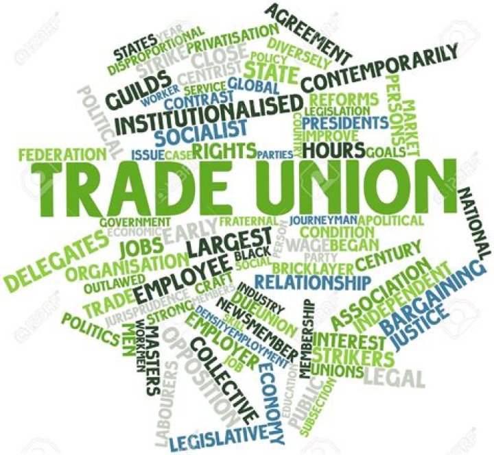 What are trade unions in business?