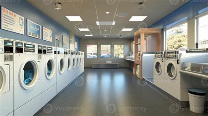 What business category is a laundromat?