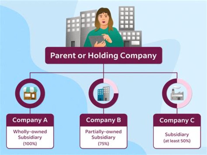 What does Parent stock mean?