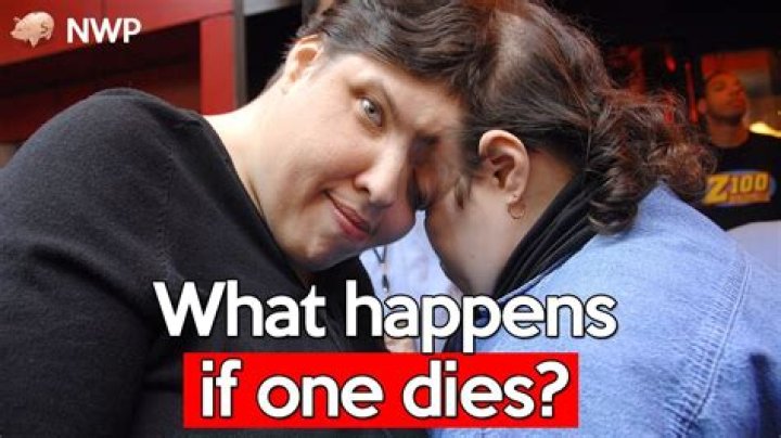What happens if the accused dies?