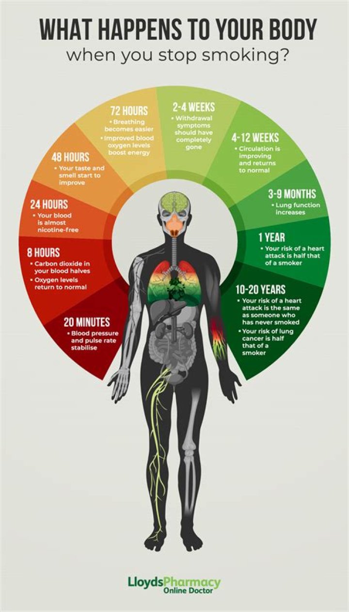 What happens to your body at the age of 60?
