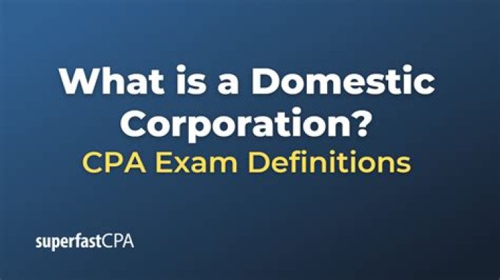 What is a domestic business corporation NY?