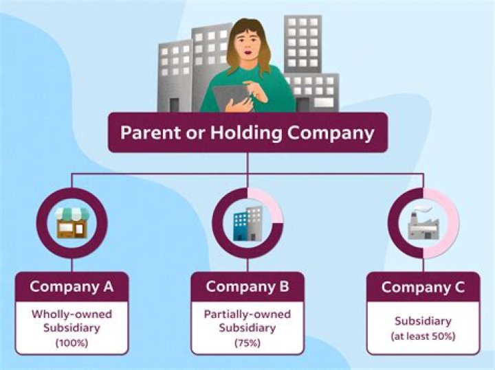 What is a parent S corporation?