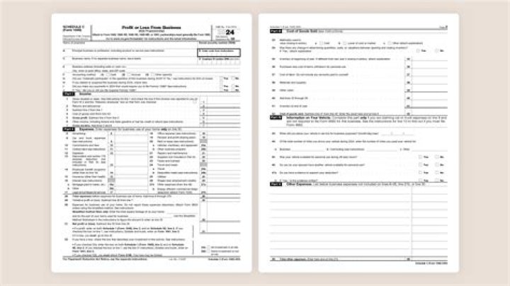 What is a Schedule C sole proprietorship?