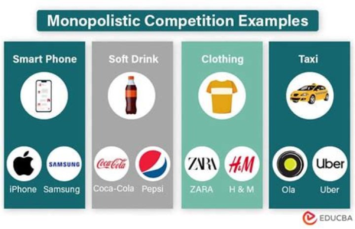 What is an example of a monopolistic company?