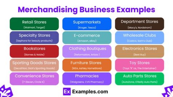 What is an example of merchandising business?