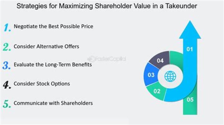 What is maximizing shareholder value?
