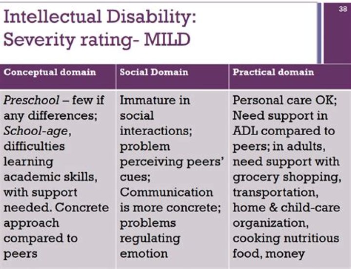 What is mild mentally handicapped?