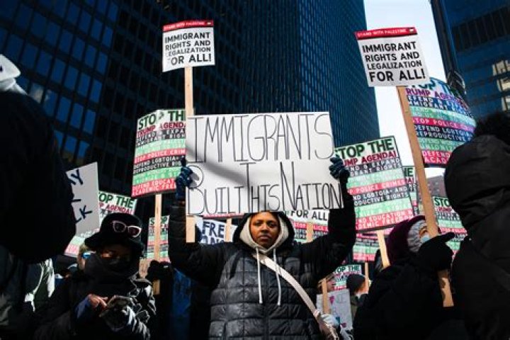 What is petitioned immigrant?