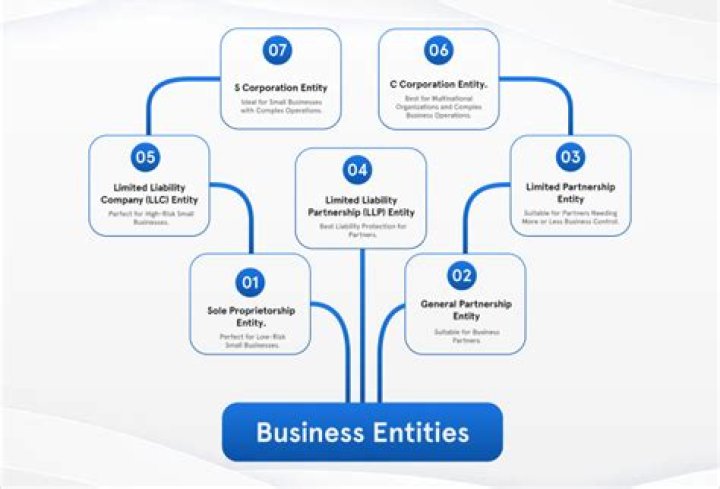 What is the entity structure of an LLC?