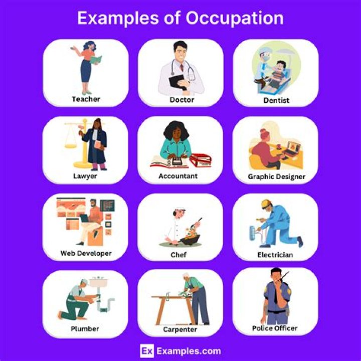 What is the example of occupation?