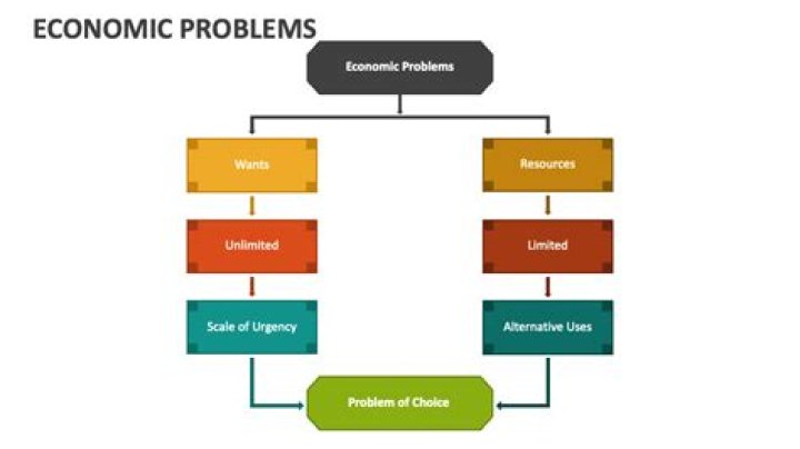 What is the fundamental assumption of the economic problem?